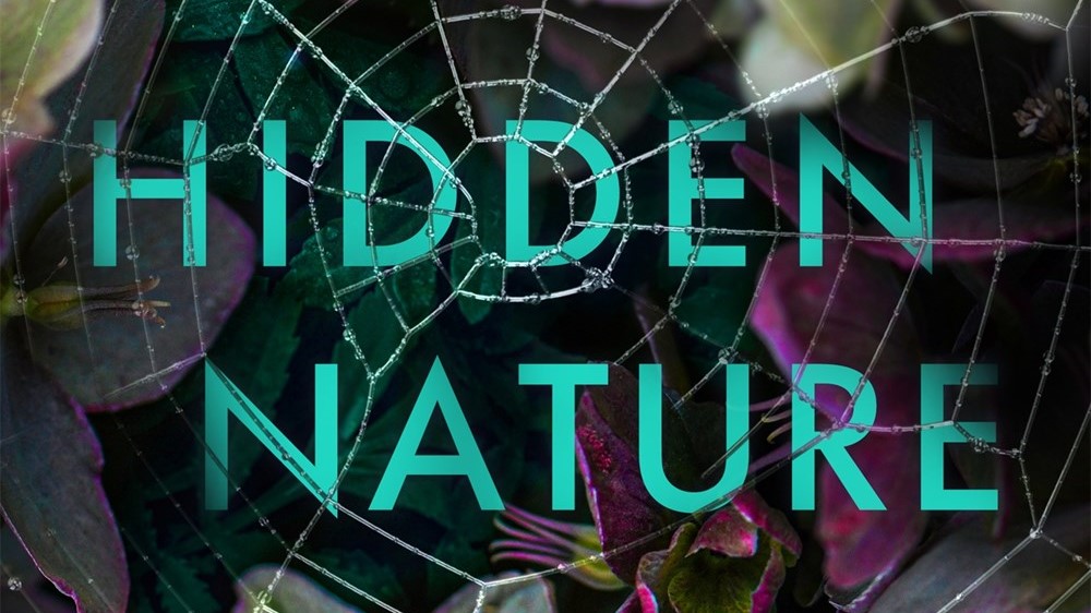 Hidden Nature