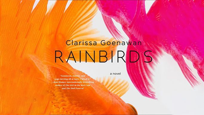 Rainbirds Audiobook
