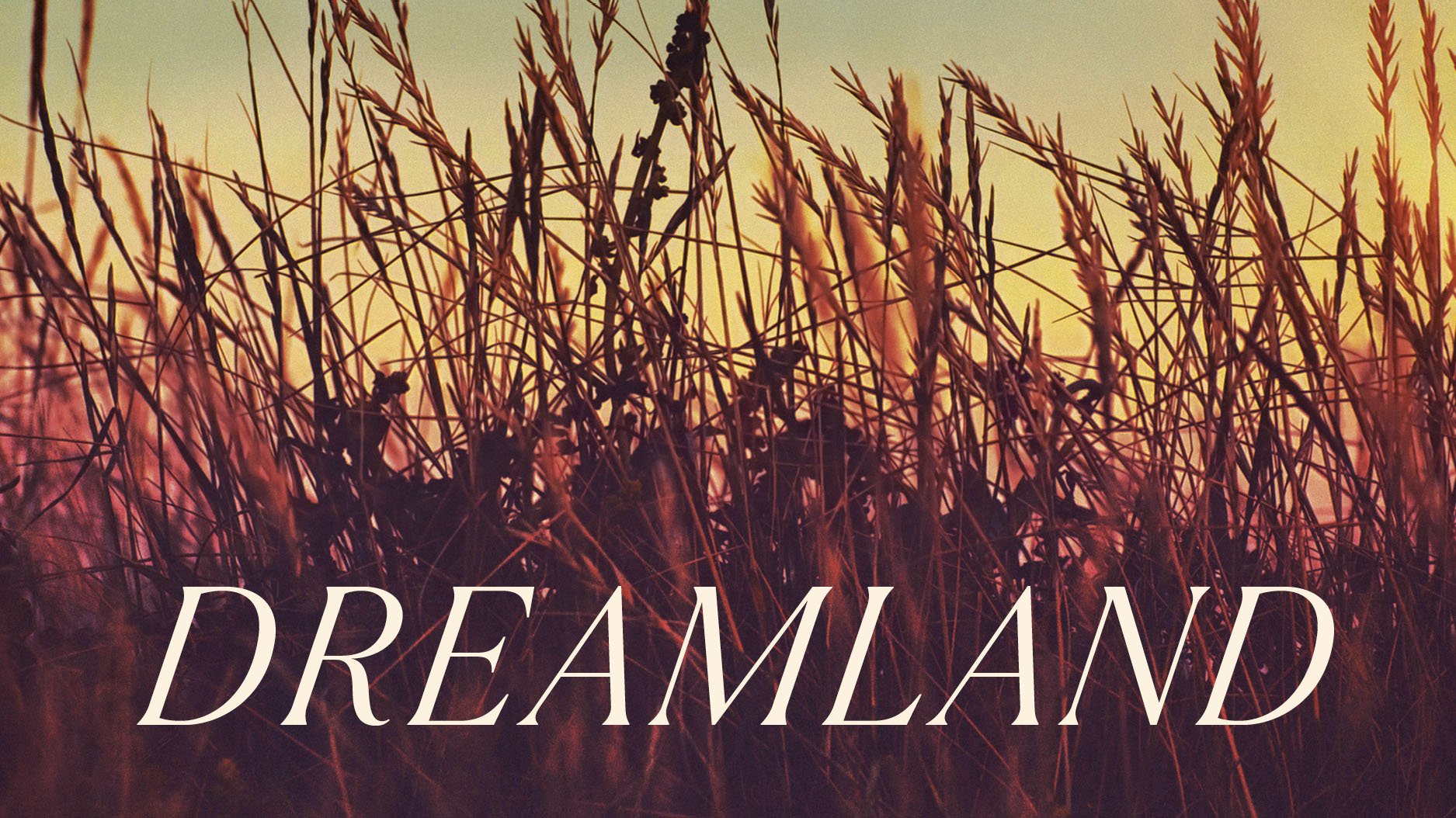 Dreamland