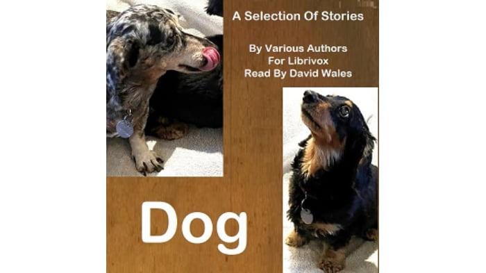 Dog: A Selection of Stories