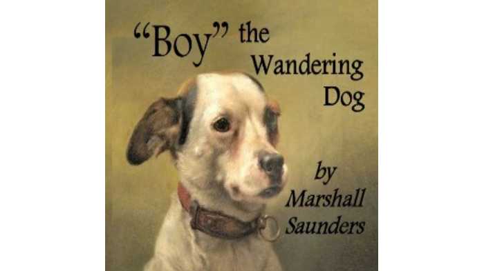 Boy The Wandering Dog