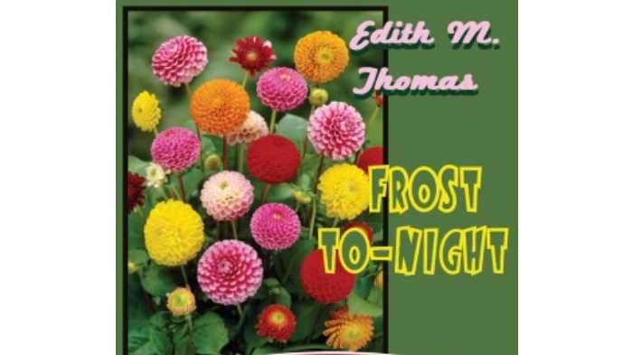 Frost To-Night