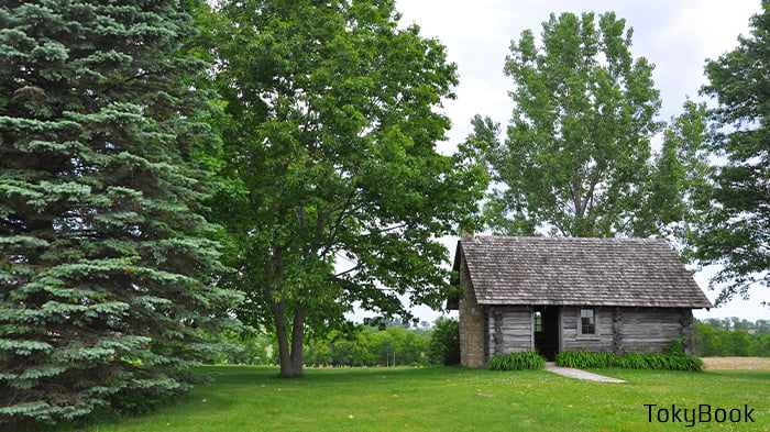 a little house in the big woods