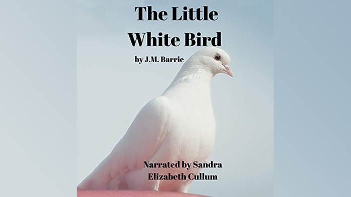 The Little White Bird