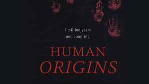 Human Origins