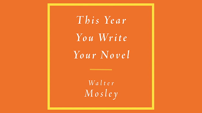 This Year You Write Your Novel