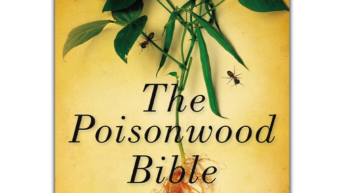 The Poisonwood Bible