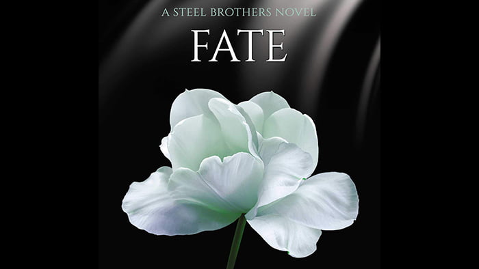 Fate The Steel Brothers Saga, Book 13