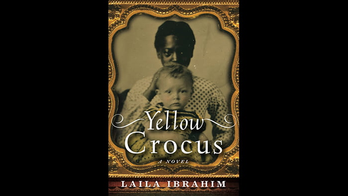 Yellow Crocus