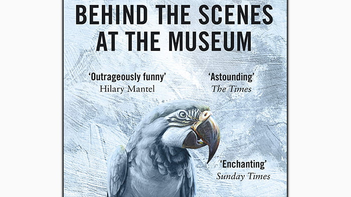 Behind the Scenes at the Museum