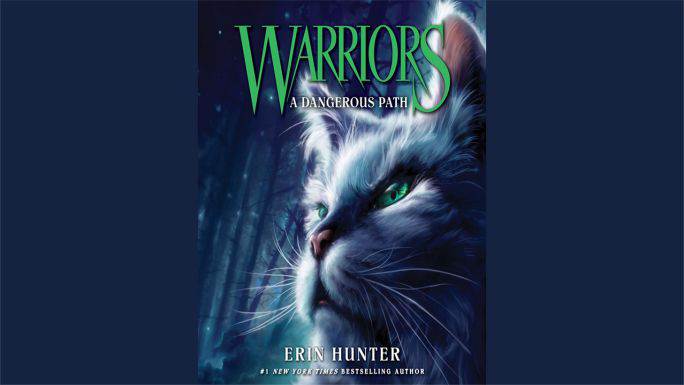 Warriors A Dangerous Path Book